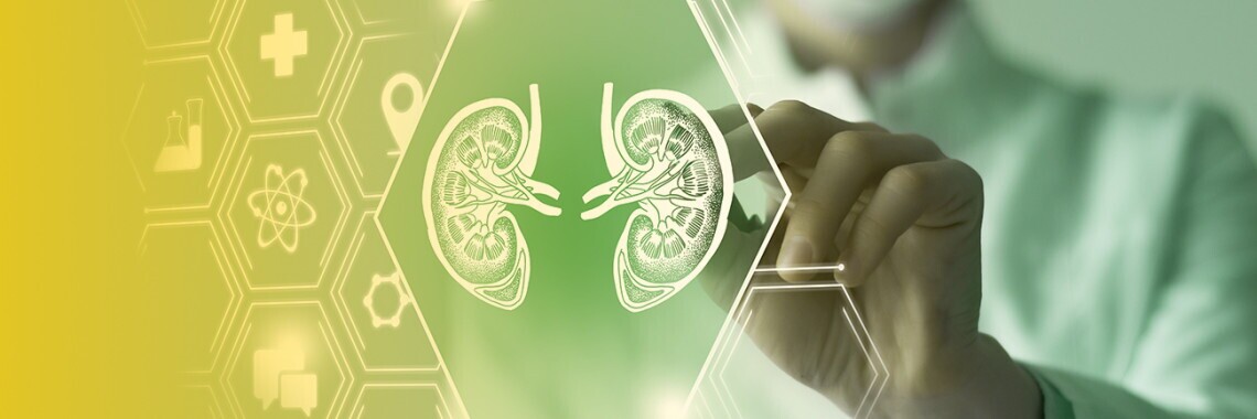 Medizinprodukteberater (m/w/d) für den Außendienst  für das Gebiet Sachsen, Thüringen und Nordbayern, 1. Bild